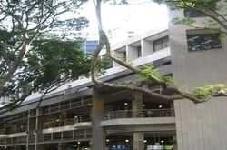Telok Ayer Conservation Area (D1), Office #570073141